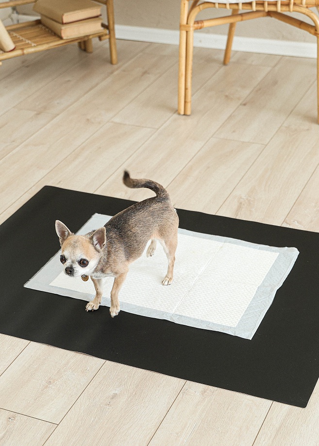 Фото 4 Антибактериальный непромокаемый коврик под пеленку Petnoriter 130х90х0.2 см, Черный