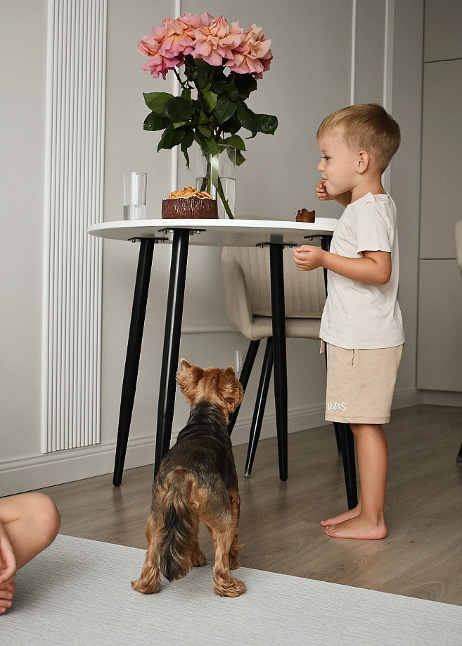 Фото 6 Коврик Cushion DustEnd 230х140х0.55 см, Благородный серый