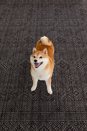 Напольное покрытие ковер рулонный для животных 150х100х0.55 см, Глубокий темный