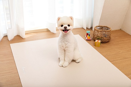 Антибактериальный непромокаемый коврик под пеленку Petnoriter 100х68х0.2 см, Бежевый