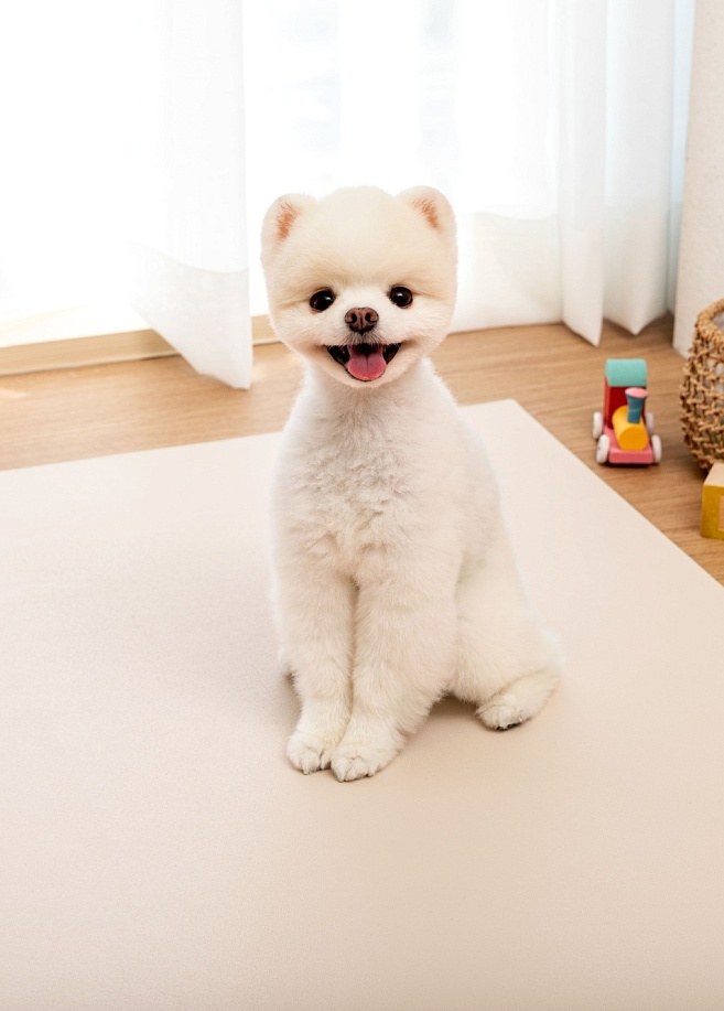 Фото 1 Антибактериальный непромокаемый коврик под пеленку Petnoriter 100х68х0.3 см, Бежевый