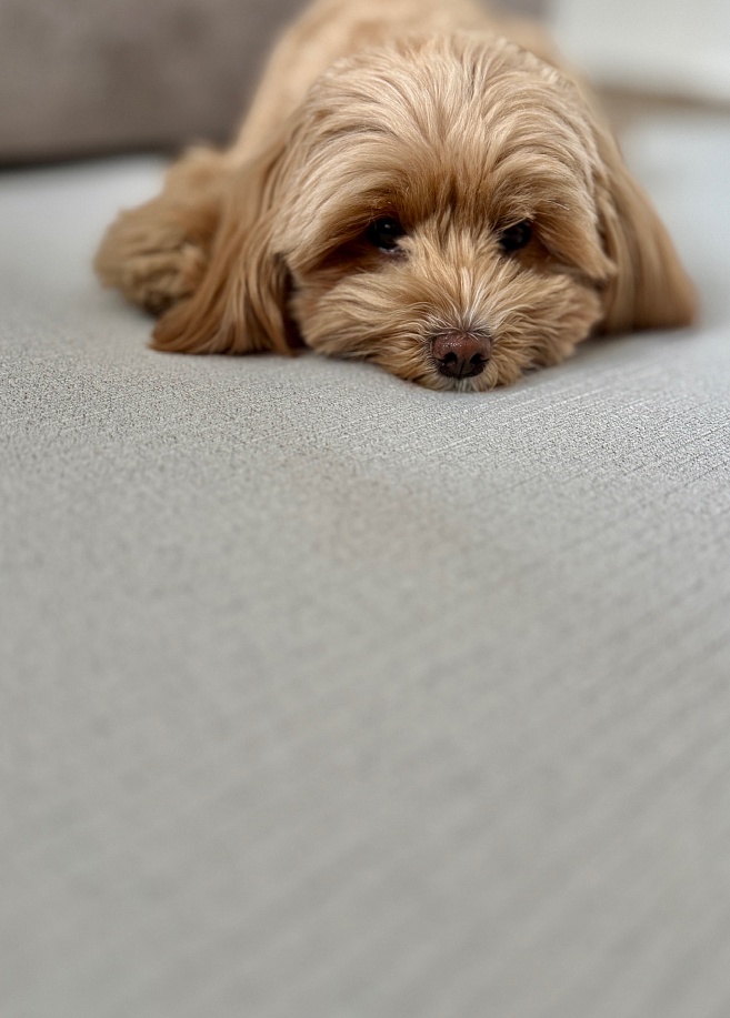 Фото 3 Коврик Cushion 140*100*0,5 см, Серый Фото 3 Коврик Cushion 140*100*0,5 см, Серый