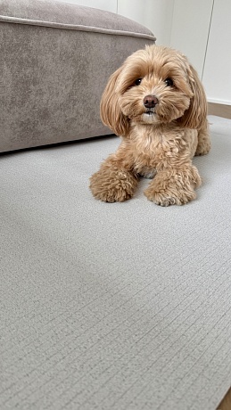 Коврик Cushion 140*100*0,5 см, Серый