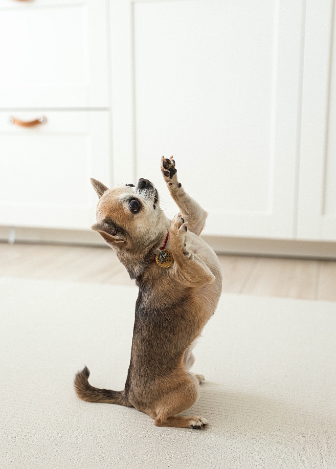 Фото 4 Коврик Cushion 140х100х0,5см, Бежевый Фото 4 Коврик Cushion 140х100х0,5см, Бежевый