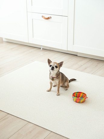 Напольное покрытие ковер рулонный для животных 150х100х0.55 см, Слоновая кость