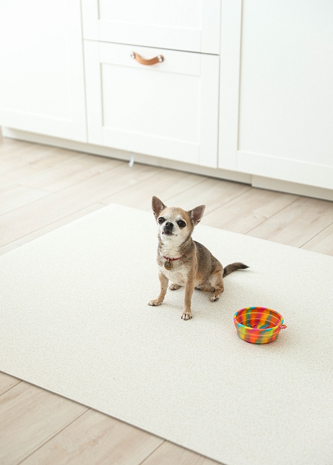 Фото 1 Напольное покрытие ковер рулонный для животных 150х100х0.55 см, Слоновая кость