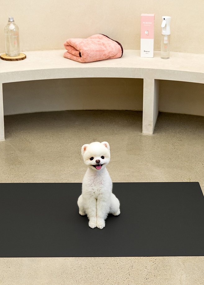 Фото 5 Антибактериальный непромокаемый коврик под пеленку Petnoriter 130х90х0.2 см, Черный