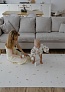 Фото 5 Ковер Parklon Pure Soft 190x130x1.2 см, Хюгге