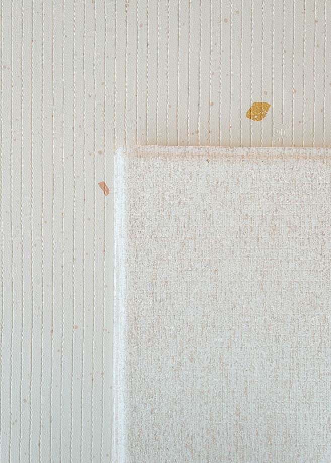 Фото 12 Коврик Prime Living Edge 150x200x1.5см, Пташка