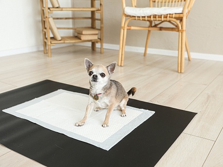 Антибактериальный непромокаемый коврик под пеленку Petnoriter 68х100х0.2 см, Черный