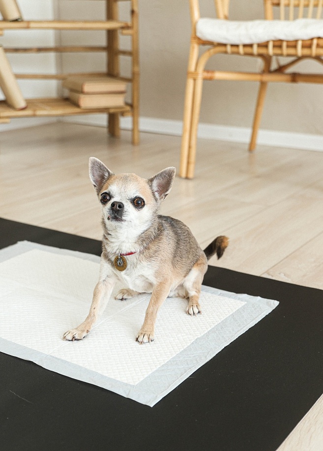 Фото 1 Антибактериальный непромокаемый коврик под пеленку Petnoriter 68х100х0.2 см, Черный