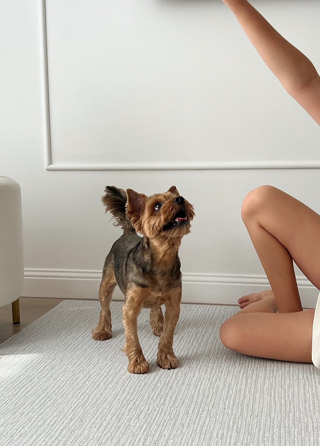 Фото 4 Коврик Cushion DustEnd 230х140х0.55 см, Благородный серый