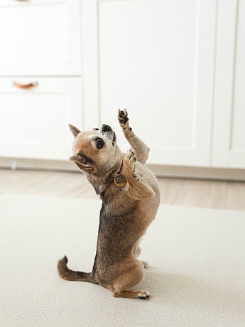 Коврик Parklon Cushion 140х100х0,5см, Бежевый