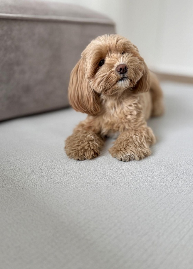 Фото 1 Коврик Cushion 140*100*0,5 см, Серый