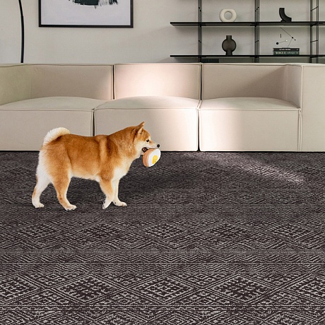 Напольное покрытие ковер рулонный для животных 150х100х0.55 см, Глубокий темный
