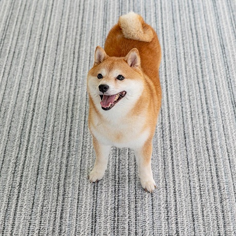 Нескользящее напольное покрытие повышенной прочности для собак и кошек Petnoriter, Темно-серый