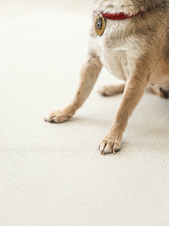 Коврик Cushion 140х100х0,5см, Бежевый