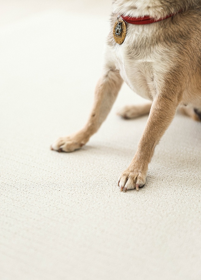 Фото 2 Коврик Cushion 140х100х0,5см, Бежевый Фото 2 Коврик Cushion 140х100х0,5см, Бежевый