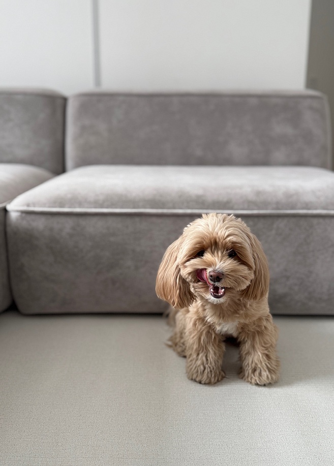 Фото 3 Коврик Cushion 140х100х0,5см, Бежевый Фото 3 Коврик Cushion 140х100х0,5см, Бежевый